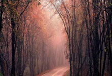 开云体育官网入口-拜仁慕尼黑遭遇瑞士劲旅重创的简单介绍